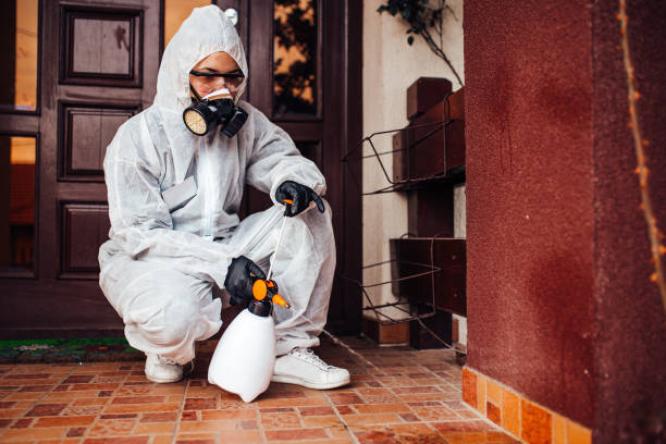 Reliable Bed Bug Control contractor in Pecan Plantation, TX by Nex Pest Control